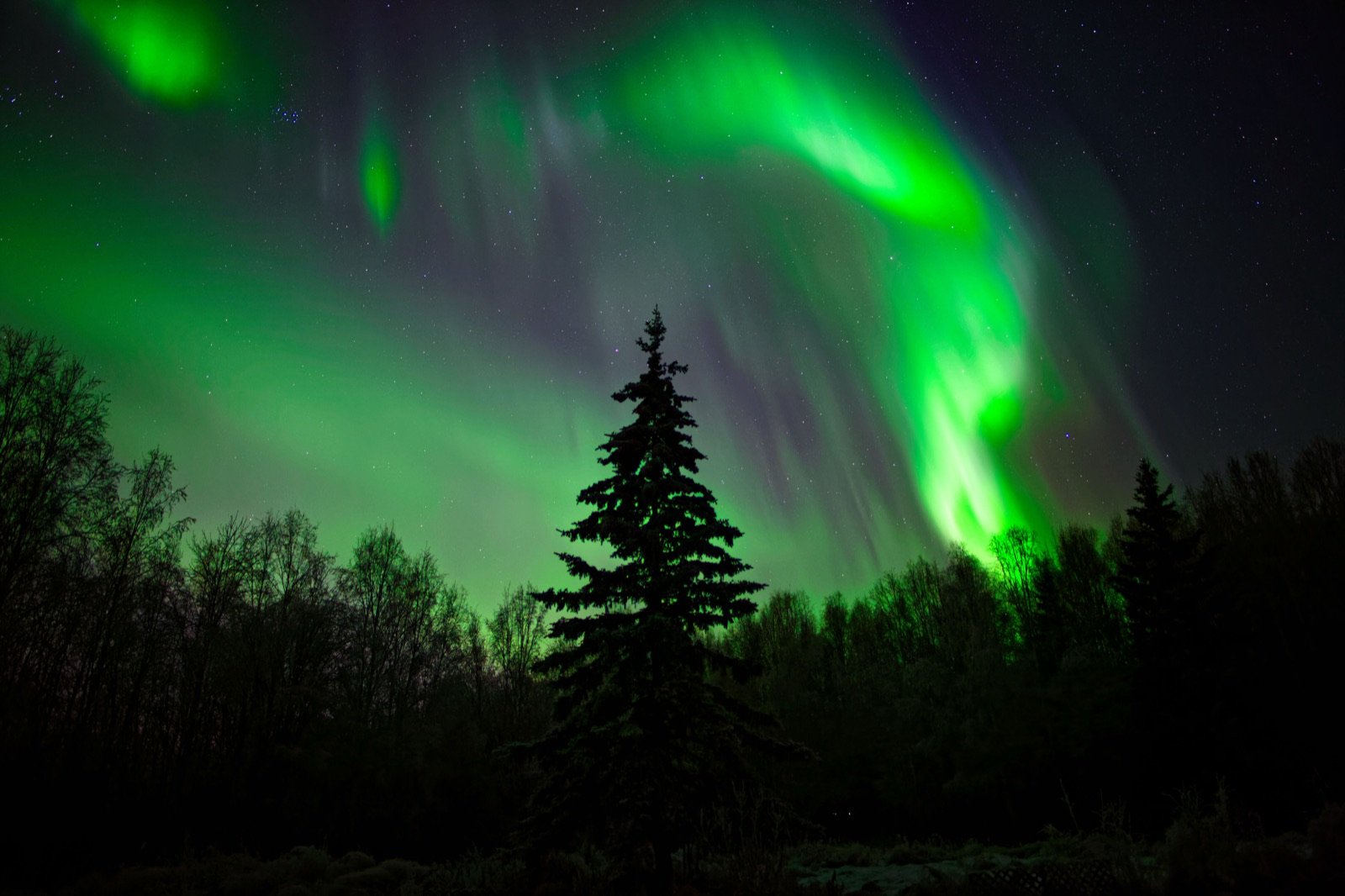 Green aurora borealis glowing over a snowy Alaska landscape at night