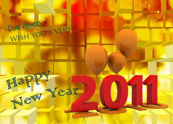 Happy New Year 2011